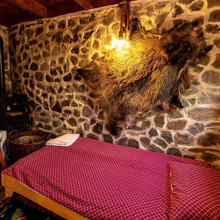 Catunu' Lui Emil Villa Carbunesti Kültér fotó