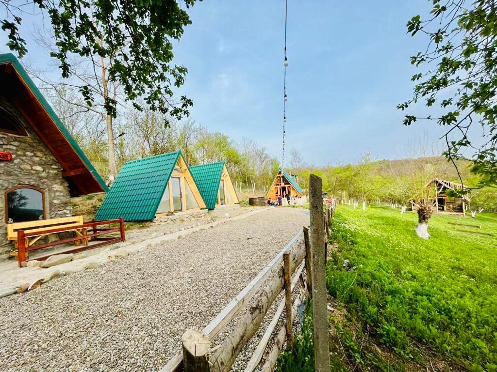 Catunu' Lui Emil Villa Carbunesti Kültér fotó