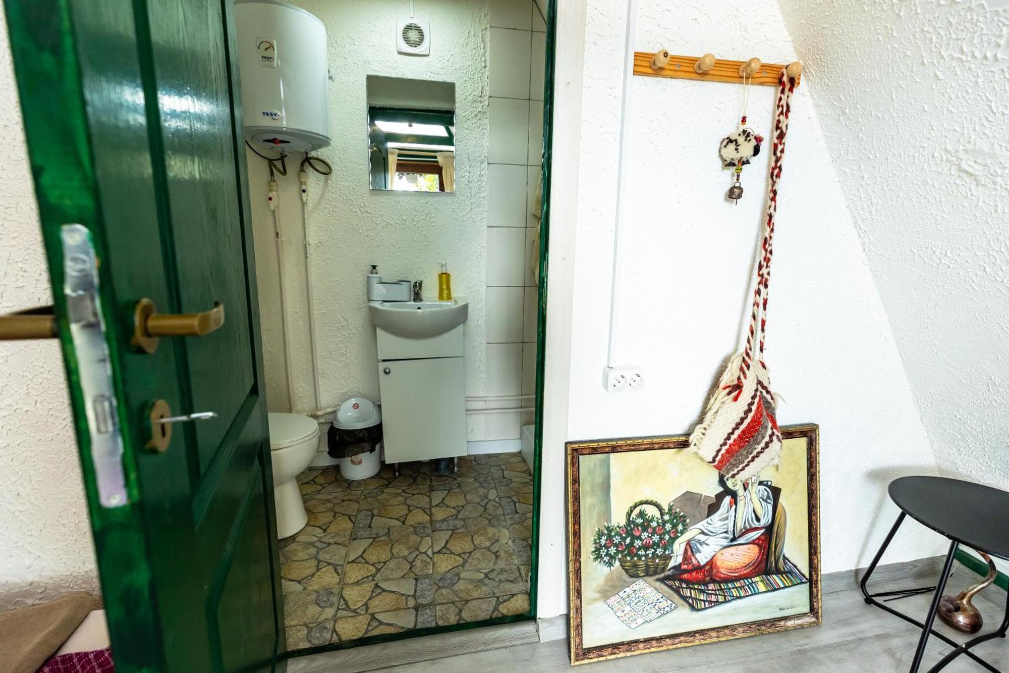 Catunu' Lui Emil Villa Carbunesti Kültér fotó